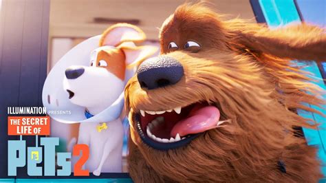 secret life of pets 2 - Perfect Partner Blook Picture Show