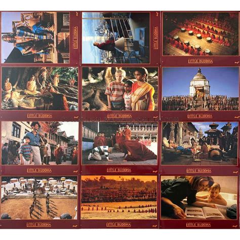 dexploitation francaises de  buddha  cm