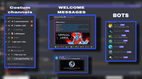 Set up your gaming discord server by Skinny0 | Fiverr