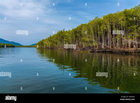 Kilim Geoforest Park Langkawi Malaysia Stock Photo Alamy