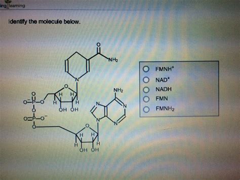 Solved Identify The Molecule Below Chegg