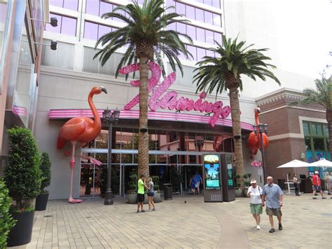 Pink flamingo casino las vegas - plmarch