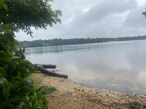Spotting the Creature of Lake Ronkonkoma - Messenger Papers