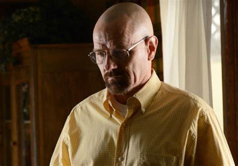[PHOTOS] ‘Breaking Bad’ Plot Twists — 8 Most Bitchin’, Bold Twists ...