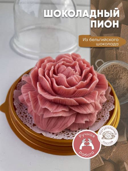 Шоколадный Пион - купить с доставкой по выгодным ценам в интернет ...