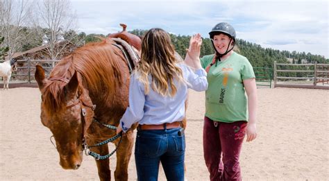 Volunteer Mustard Seed Ranch