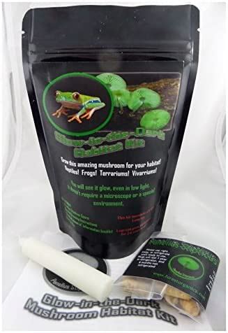 Amazon Forest Organics Glow In The Dark Mushroom Growing Habitat