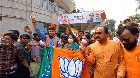 Mp Bypoll Results Bjp Workers Celebrate Party S Victory