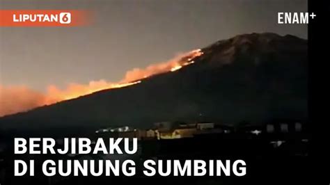 6 Fakta Kebakaran Di Gunung Sumbing Area Terbakar Capai 3 Kecamatan