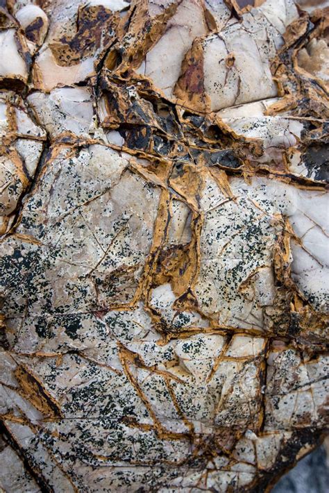 Rock Texture Am Strand Stock Bild Colourbox