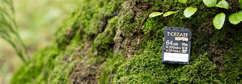 EXPERT SDXC UHS-II U3 V90 Memory Card 1TB - TEAMGROUP