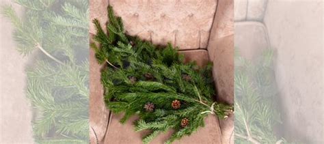 Лапник ели, еловый лапник купить в Саратове | Товары для дома и дачи ...