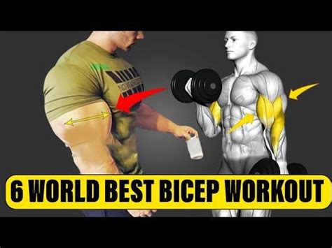 6 Super Effective Biceps Exercises For Bigger Biceps Big Biceps Best