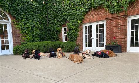 MidAmerica Service Dogs' Foundation