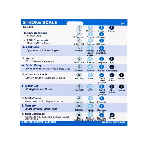 stroke scale badge  nurses etsy