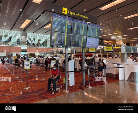 how to know what terminal your flight is