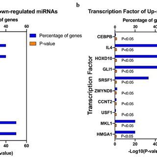 The Top Predictive Tfs Of De Mirnas A The Top Tfs Of