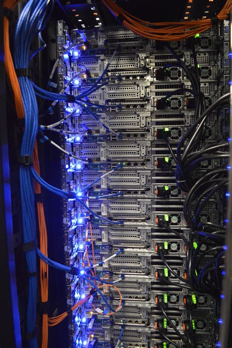 A step by step guide to using the fl doc inmate locator website today 10