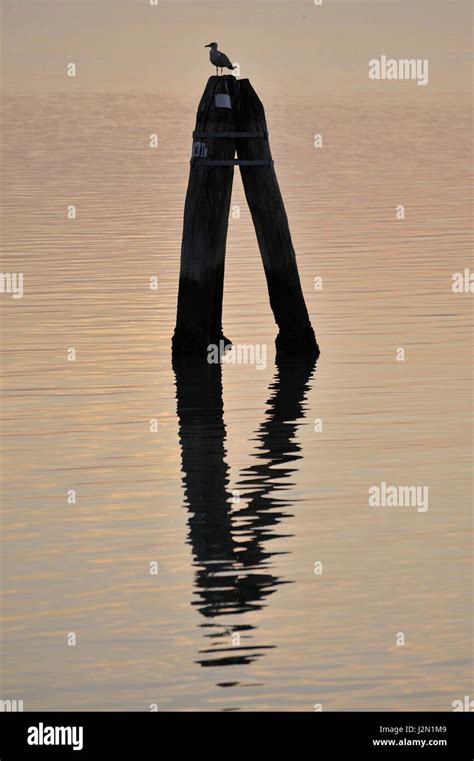 Romantic View Of The Lagoon Of Venice Seen From The Shore At Sunset