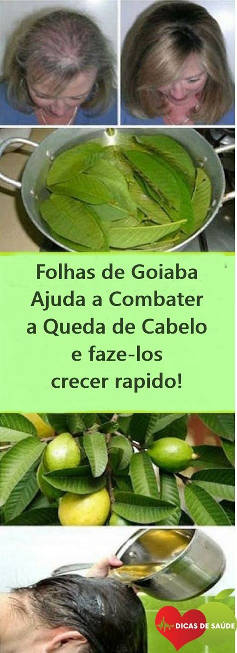 Quanto Tempo Deixar O Chá De Goiaba No Cabelo - Cha De Folha De Goiaba Para Cabelo Antes E Depois - Livros