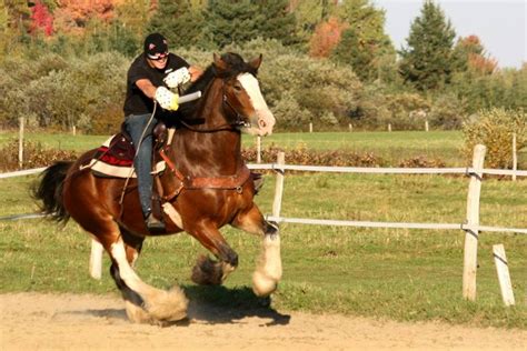 Demi Pension Sainte Foy Sur Cheval De Randonn E Demi Pension