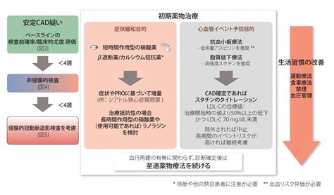 狭心症の種類とニトロペンの使用基準|薬局業務NOTE