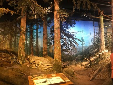 The North Carolina Museum of Natural Sciences