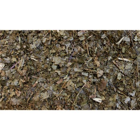 Hamamélis Feuille PÈre Blaize G 100 G
