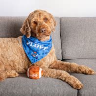 Naked And Afraid XL Discovery