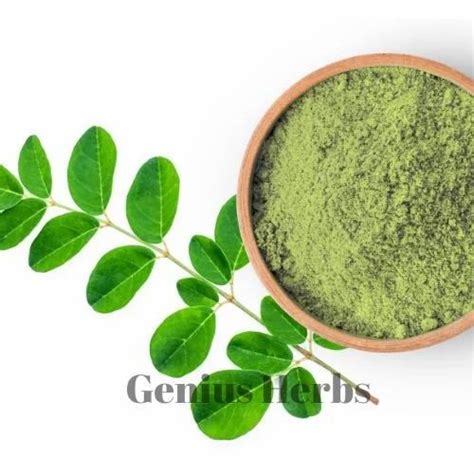 Moringa Products Moringa Dried Leaves Organic Machine Dried Pure