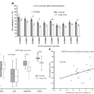 A Differentially Methylated CpGs In The SMYD2 Gene Promoter Identified