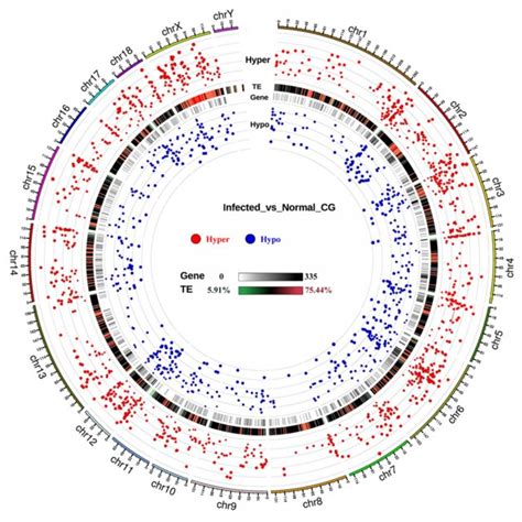 Dmr Distribution Across Pig Genome The Outermost Circle Refers To