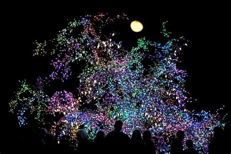 Celebrating the holiday season around the world - ABC News