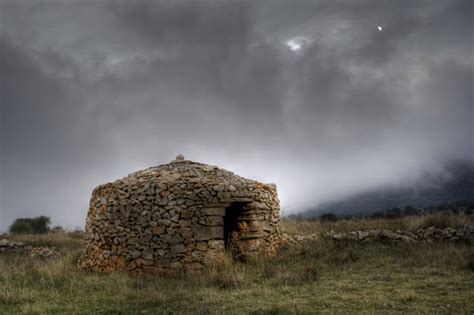 Storytown Vocabulary Lesson 21 Flashcards | Quizlet