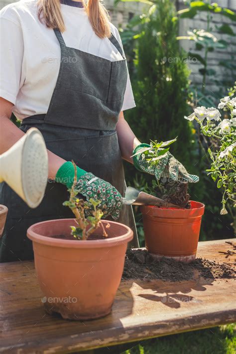 Gardening Girl Replanting Green Pasture In Home Garden Workplace Home