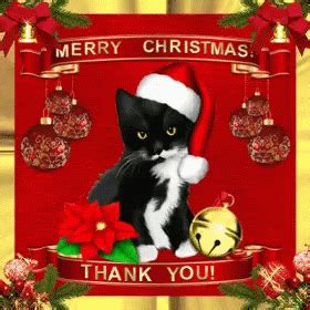 Christmas Cat GIF - Christmas Cat Kitty - Discover & Share GIFs