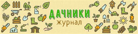 Журнал Дачники | № 5094277767 2025 | ВКонтакте