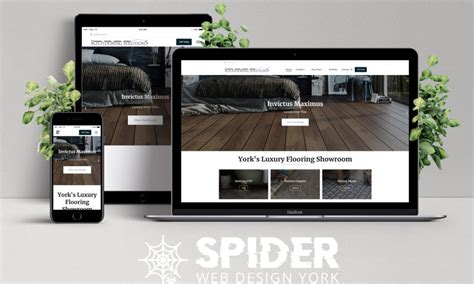 Spider Web Designs Reviews | View Portfolios | DesignRush