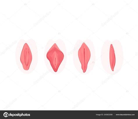 Vector De Corrección Vaginal Cirugía Plástica Icono Plano Vector Gráfico Vectorial © Sabelskaya