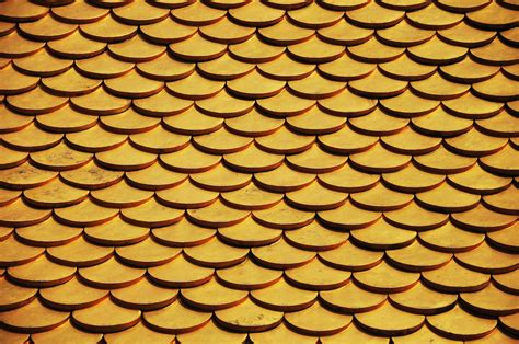photo  cone pattern  stock photo