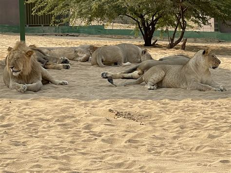 Angola Tourism | Luanda