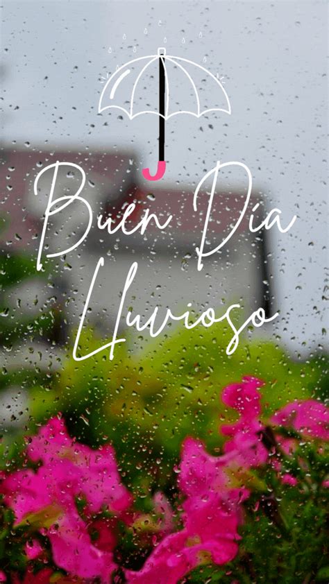 Pink Flowers And An Umbrella In The Rain On A Rainy Day With Text Overlay