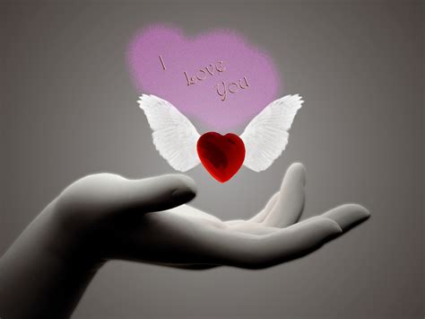 nice   love images duul wallpaper