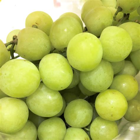 Luisco® Green Seedless Grapes 1kg — Momobud