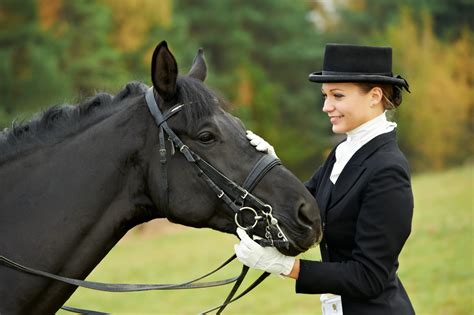 Экипировка всадника