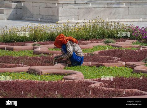 Agra India April 12 2023 A Long Distance Photo Of A Woman Weeding A Garden Under The Hot