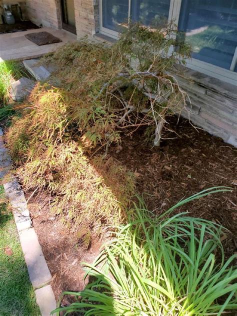 Assessing Property in Lancaster County Nebraska for Beginners Only 7