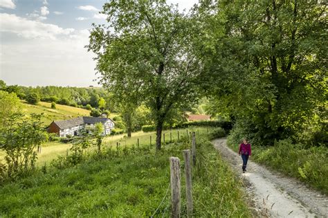 Wandelen Zuid Limburg De Mooiste Natuurroutes