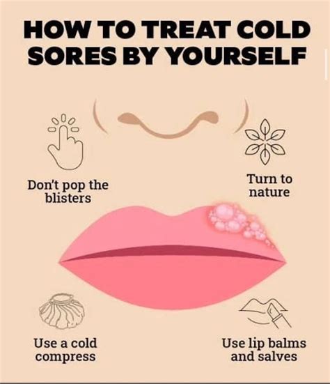 herpes simplex virus  cold sores  infected  virus