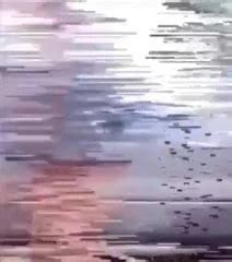 Tok Nya Malaysian Blowjob Blowjob Porn XHamster